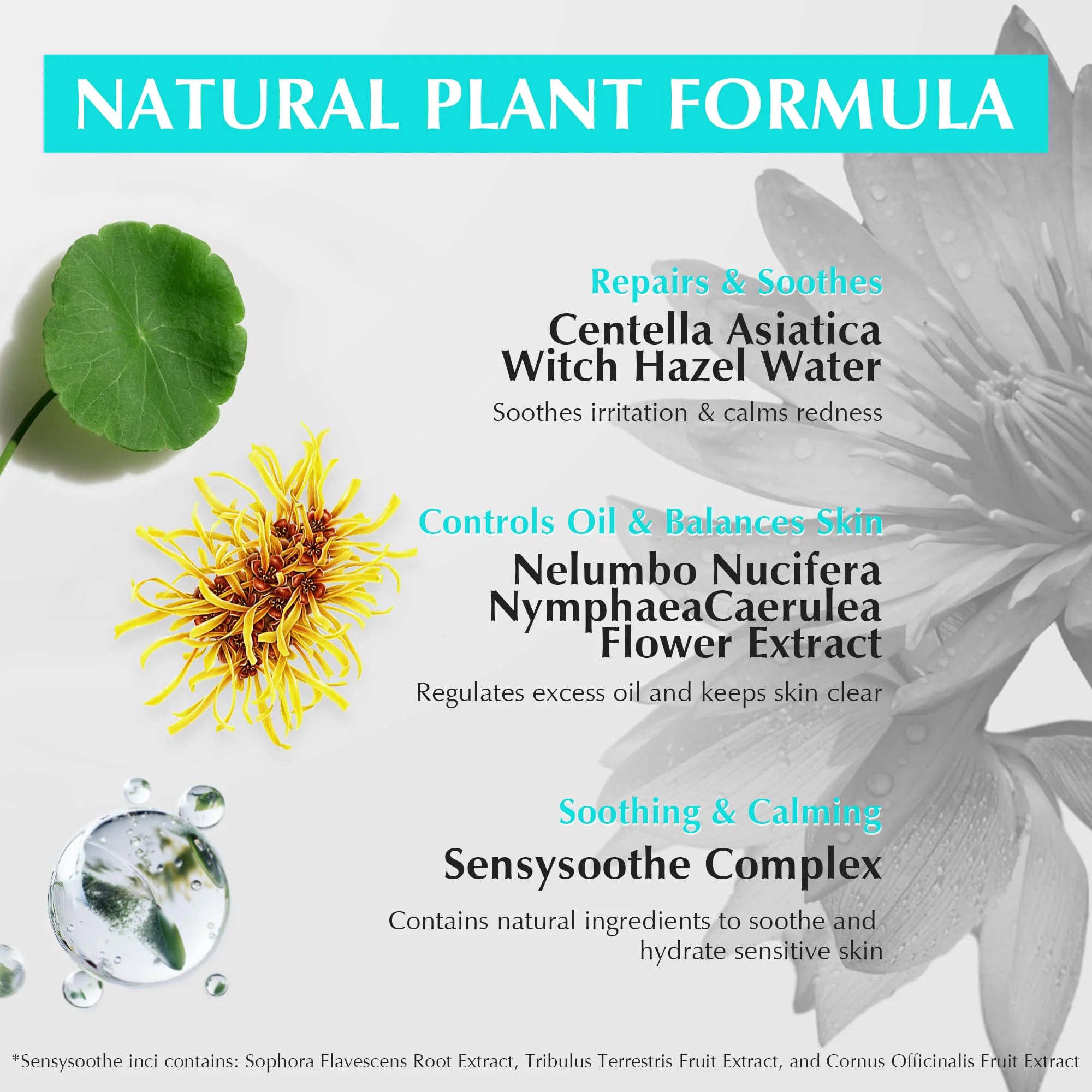 Oil-Control &amp; Purifying Cleansing Clay Mask