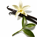 Witch Hazel Extract: Delivers astringent and soothing benefits to help refine the look of skin texture, improve the appearance of firmness, and leave skin feeling more toned.