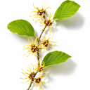 Vanillyl Butyl Ether: Provides a long-lasting warming sensation by stimulating microcirculation and promoting blood flow, helping support skin metabolism and reduce the appearance of puffiness.